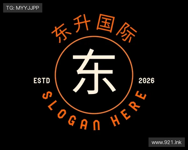 了解东升国际